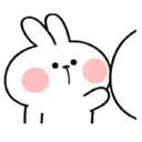 Spoiled Rabbit Cute action MOV 3