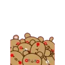 Amore bears 24
