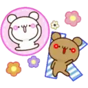 Amore bears 11