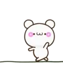 Amore bears 18