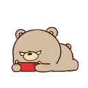 Beartod 21