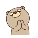 Beartod 12
