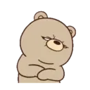 Beartod 23