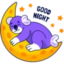 BUENAS NOCHES 13