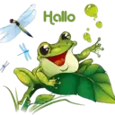 Green Frog 1 Movi 14