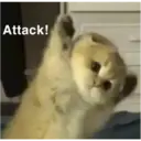 Jo Mama 10