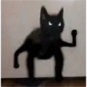Jo Mama 6