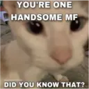 Jo Mama 18