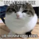 Jo Mama 26
