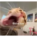 Jo Mama 20