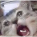 Jo Mama 19