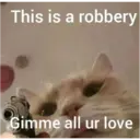 Jo Mama 14