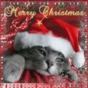Navidad 2 Movi 15