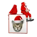 Navidad 3 Movi 27