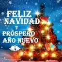 Navidad 4 Movi 14