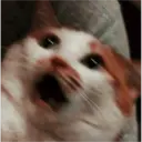 Night Memes 6
