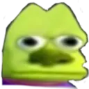 pepe + cat stickers 4