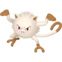 Pokémon Gen I: 31-60 11