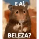 teste galinha 3