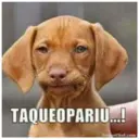 Tuguices II 11