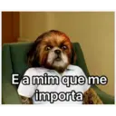 Tuguices II 14