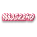 XoxoLima pink 1