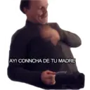 AY! CONNOHA DE TU MADRE