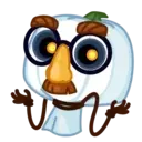 Zucca Fantasma 4