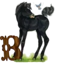 स्टिकर