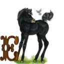 स्टिकर