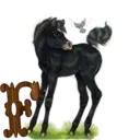 स्टिकर