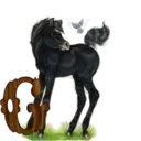 स्टिकर
