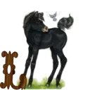 स्टिकर