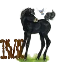 स्टिकर