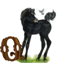 स्टिकर