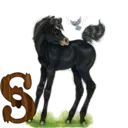 स्टिकर