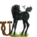 स्टिकर