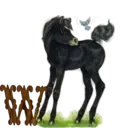 स्टिकर