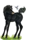 स्टिकर