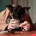 Food mood 21