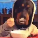 Food mood 14