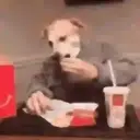 Food mood 22