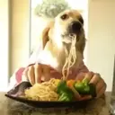 Food mood 11