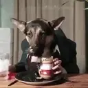 Food mood 1