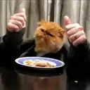 Food mood 30