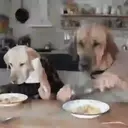 Food mood 13