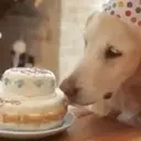 Food mood 2