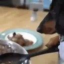Food mood 9