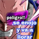 ⊰⸎҉dragón Ball ️ᭁ⸎҉⊱ 20