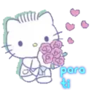 Amor Hello Kitty ️ 22
